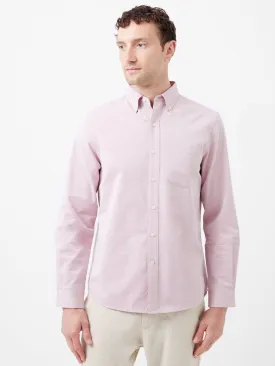 Regular Fit Button Down Oxford Shirt